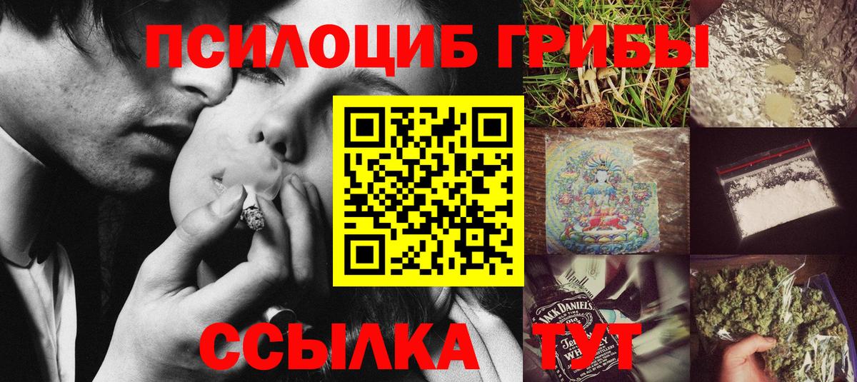 Псилоцибиновые грибы GOLDEN TEACHER Чистополь
